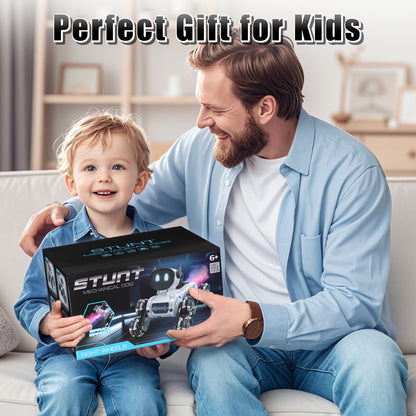 Remote Control Cars, Robot Dog Toy for Kids, RC Robot Toys for 7 8 9 10 11 12 Year Old Boys Toy, 2.4Ghz Fast Stunt, Robot Dog RC Cars for Age 8-12 Outdoor Toys w/Light & Smoke, Perfect Gift for Boys